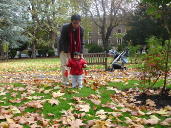 12 Nov autumn 4JPG.jpg